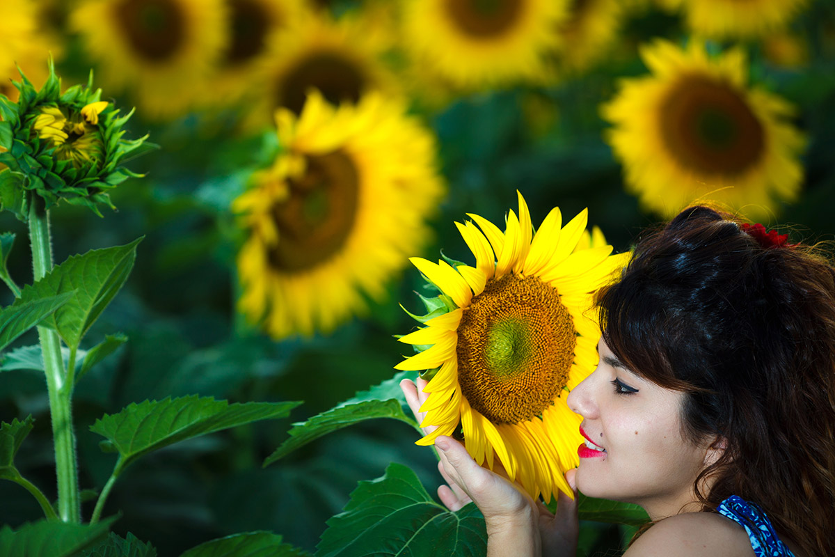 fotografo-imola-estate-engagement-campo-girasole