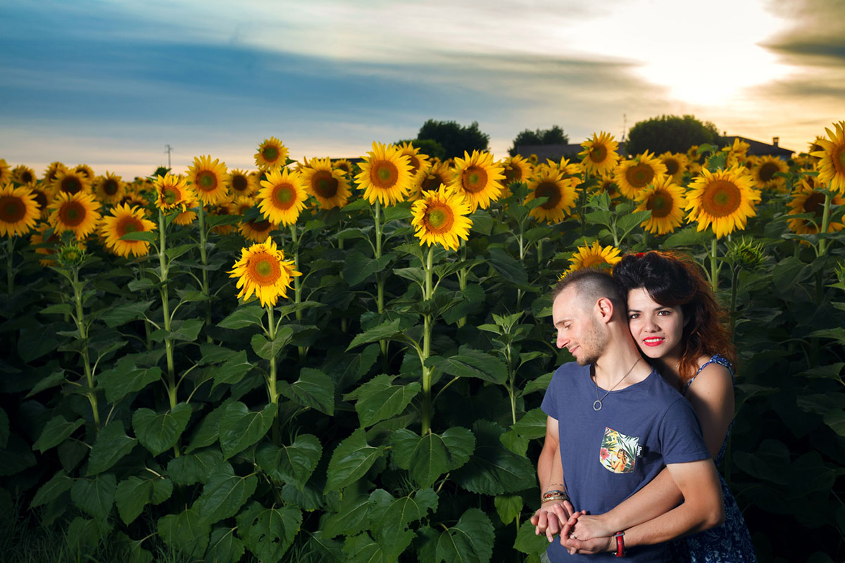 pre-wedding-photo-campo-girasole-Bologna