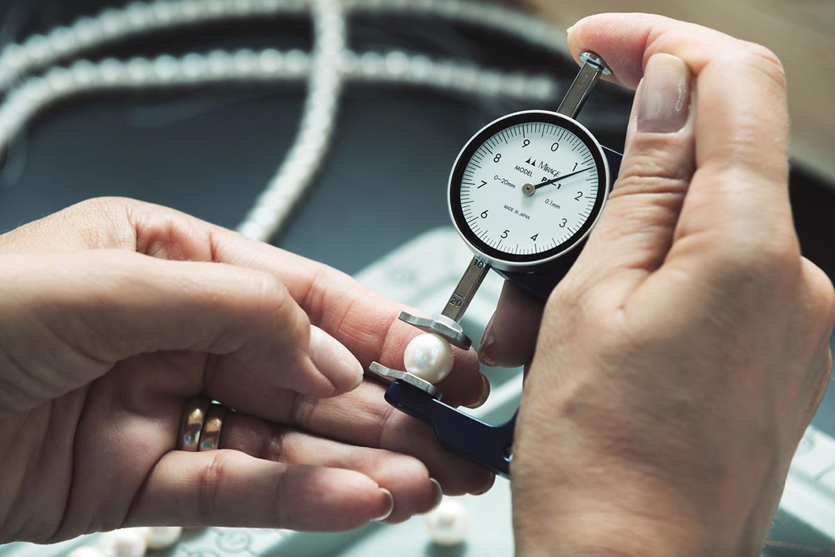 fotografo-profesionista-bologna-servizi-siti-web