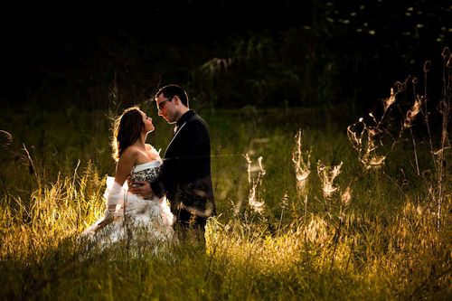 Wedding album Bologna