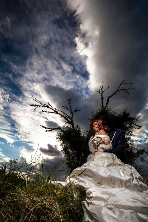 Wedding album Bologna